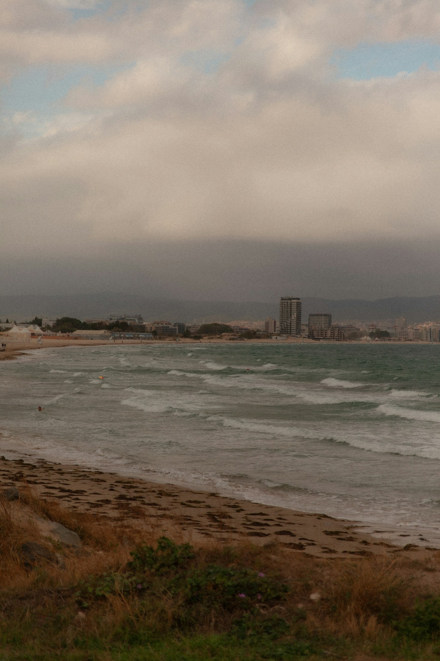 Top Benefits of Watching Purdy Sandspit Live