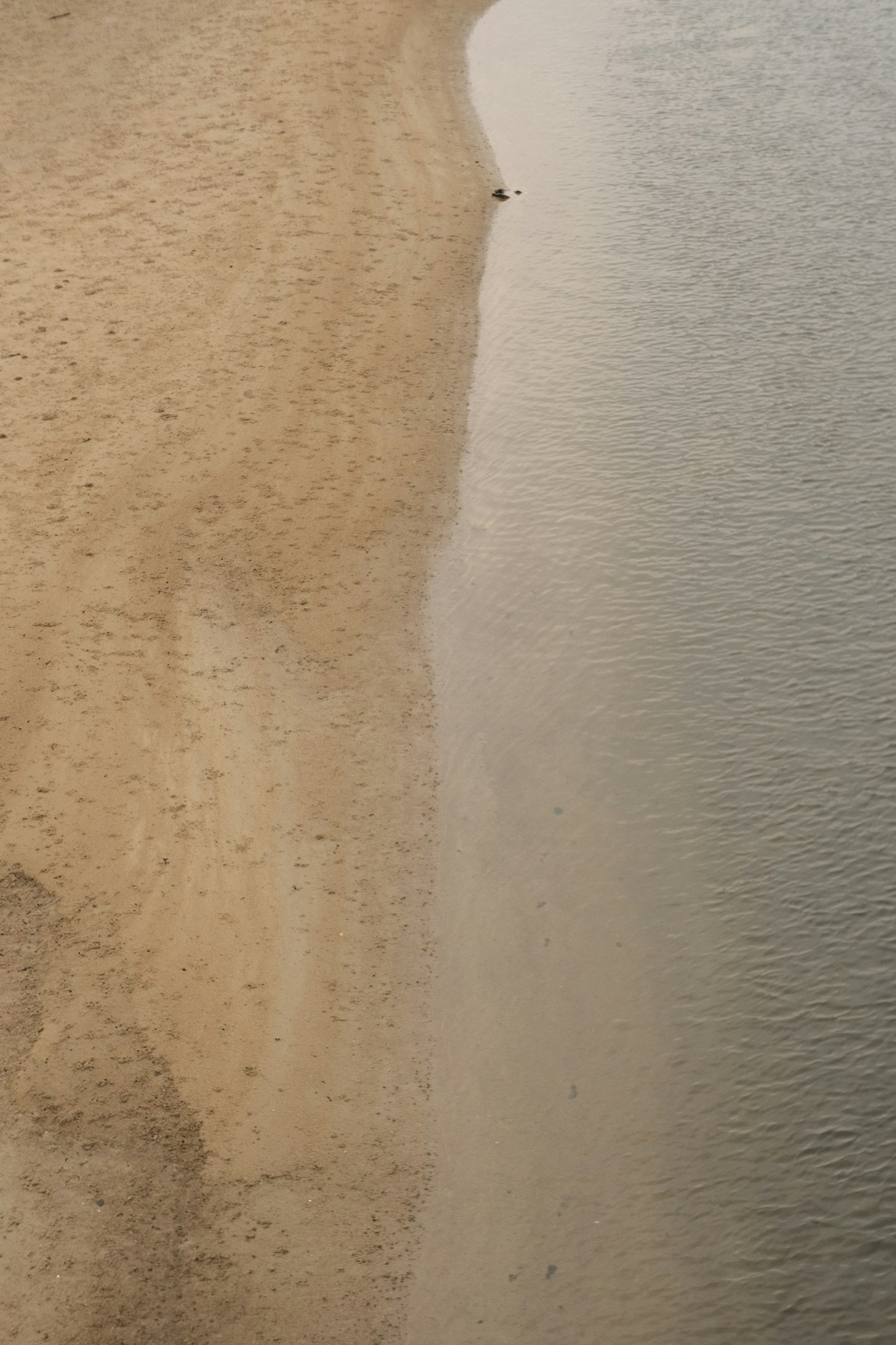 How Real-Time Streams Enhance Coastal Experience